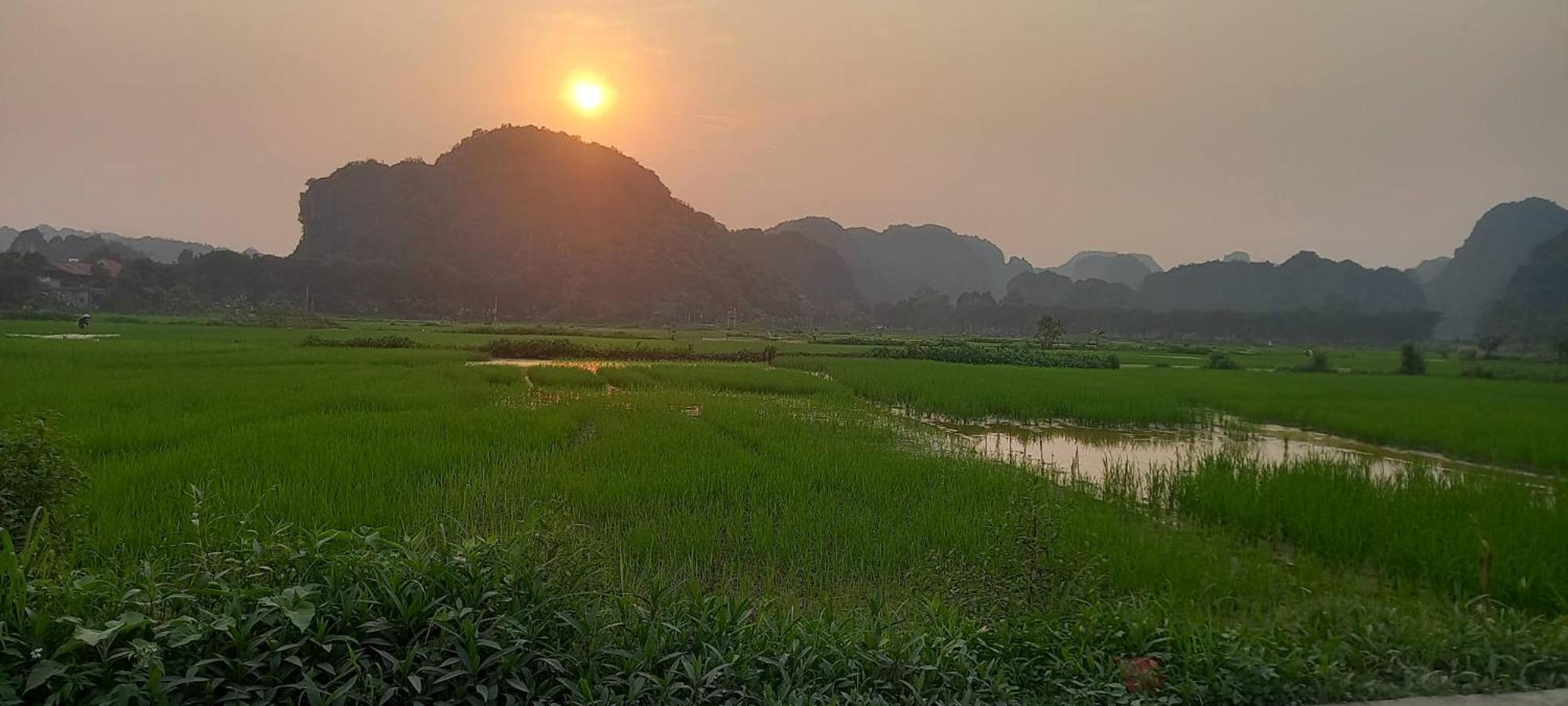 Tam Coc Riverside Homestay *