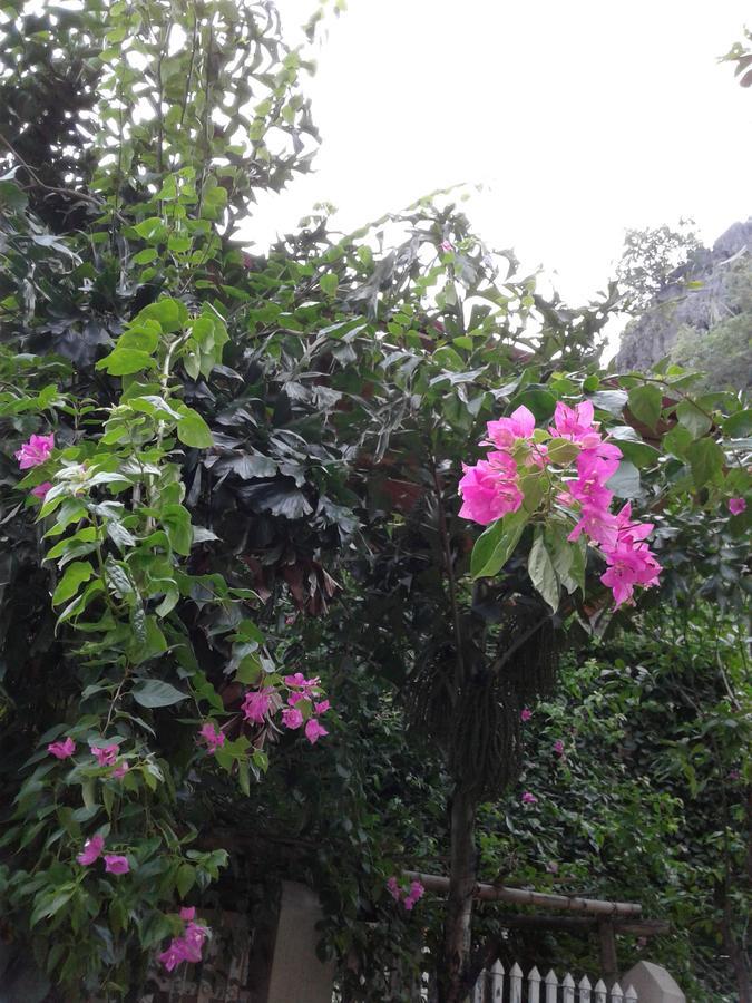 Tam Coc Riverside * Ninh Binh