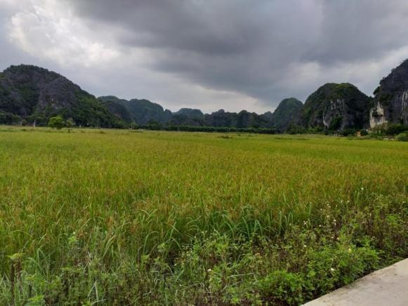 Tam Coc Riverside * Ninh Binh